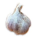 Garlic inventory icon