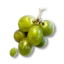 Grapes inventory icon