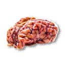 Kobold Brain inventory icon