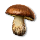 Slippery Jack inventory icon