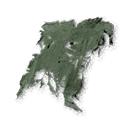 Large Lizard's Moult inventory icon