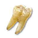 Flawless Teeth inventory icon