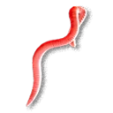 Bait Worms inventory icon