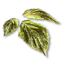 Poisonous Leaves inventory icon