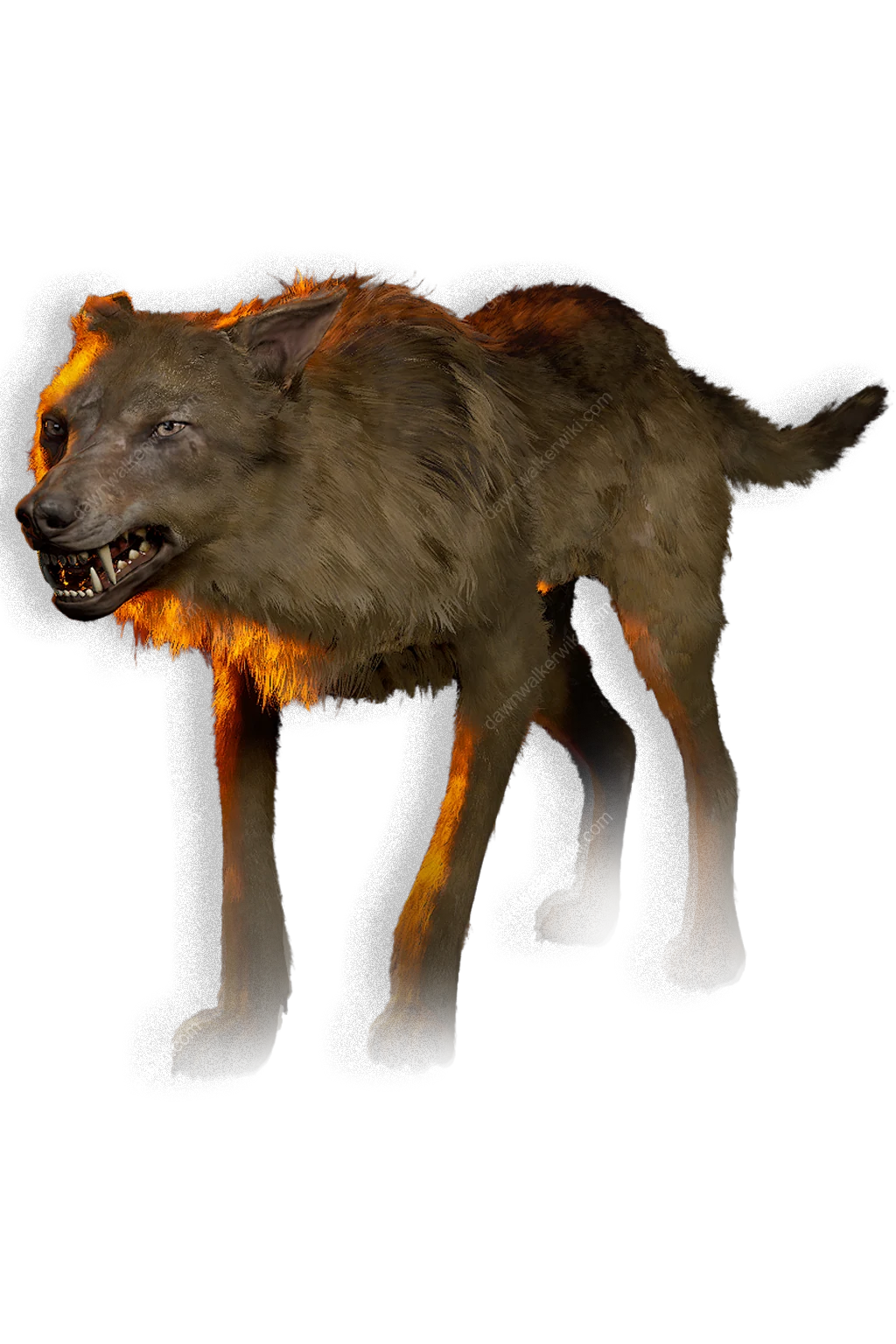 Dog portrait in The Blood of Dawnwalker
