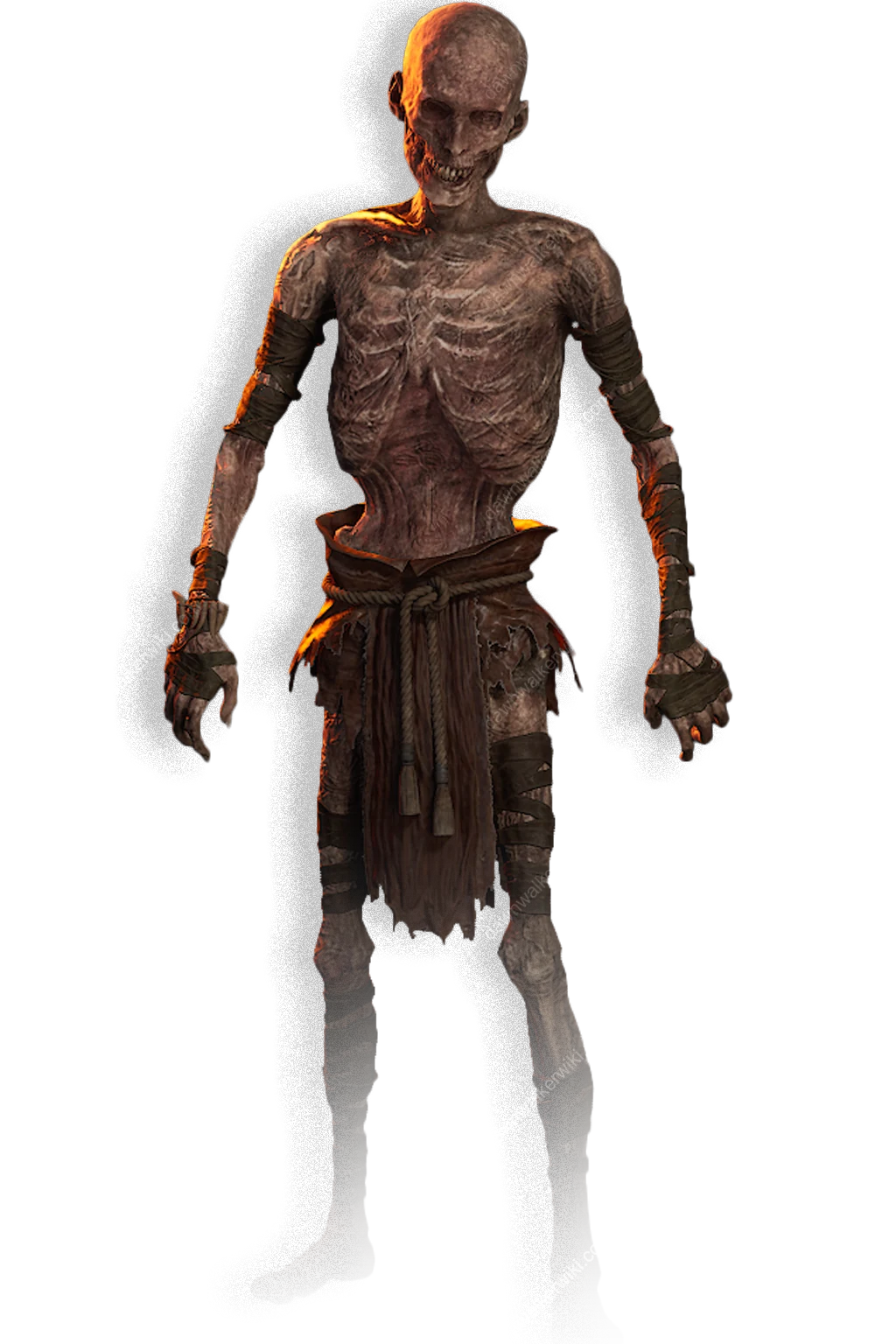 Undead portrait in The Blood of Dawnwalker