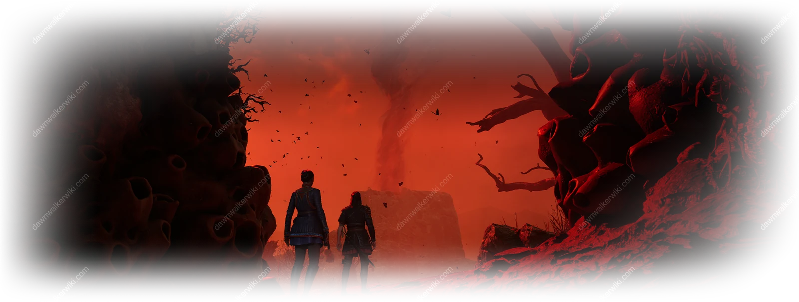 Anachora landscape in The Blood of Dawnwalker