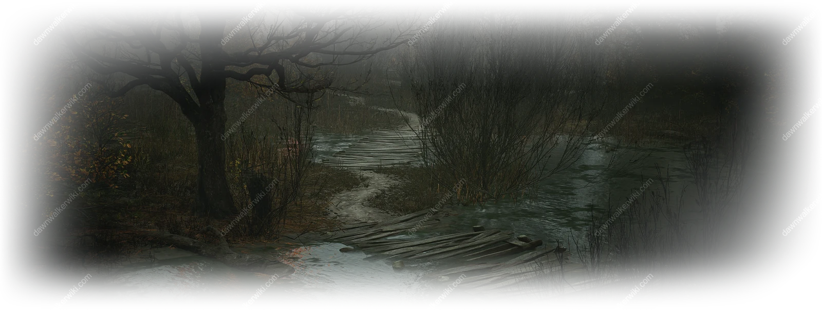 Briar Sloughs landscape in The Blood of Dawnwalker